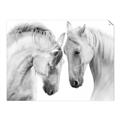 Picture of Face Off Horses _GroupedProduct_Rectangle_Landscape_Photography _GroupedProduct_Rectangle_Landscape_Unframed_Print_Only_