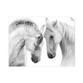 Picture of Face Off Horses _GroupedProduct_Rectangle_Landscape_Photography _GroupedProduct_Rectangle_Landscape_Unframed_Print_Only_