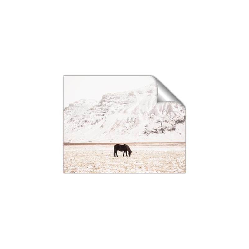 Picture of Horse in Field  _GroupedProduct_Rectangle_Landscape_Photography _GroupedProduct_Rectangle_Landscape_Unframed_Print_Only_