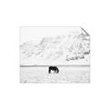 Picture of Horse in Field  _GroupedProduct_Rectangle_Landscape_Photography _GroupedProduct_Rectangle_Landscape_Unframed_Print_Only_