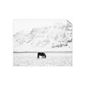 Picture of Horse in Field  _GroupedProduct_Rectangle_Landscape_Photography _GroupedProduct_Rectangle_Landscape_Unframed_Print_Only_