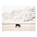 Picture of Horse in Field  _GroupedProduct_Rectangle_Landscape_Photography _GroupedProduct_Rectangle_Landscape_Unframed_Print_Only_