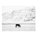 Picture of Horse in Field  _GroupedProduct_Rectangle_Landscape_Photography _GroupedProduct_Rectangle_Landscape_Unframed_Print_Only_