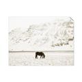 Picture of Horse in Field  _GroupedProduct_Rectangle_Landscape_Photography _GroupedProduct_Rectangle_Landscape_Unframed_Print_Only_
