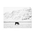 Picture of Horse in Field  _GroupedProduct_Rectangle_Landscape_Photography _GroupedProduct_Rectangle_Landscape_Unframed_Print_Only_