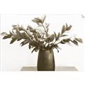 Picture of Black vase with green leafs _GroupedProduct_Rectangle_Landscape_Photography _GroupedProduct_Rectangle_Landscape_Unframed_Print_Only_