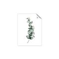 Picture of Leaves IV _GroupedProduct_Rectangle_Portrait_Unframed_Print_Only_