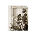 Picture of Farmhouse Arrangement I  _GroupedProduct_Rectangle_Portrait_Photography _GroupedProduct_Rectangle_Portrait_Unframed_Print_Only_