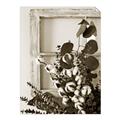 Picture of Farmhouse Arrangement I  _GroupedProduct_Rectangle_Portrait_Photography _GroupedProduct_Rectangle_Portrait_Unframed_Print_Only_