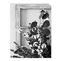 Picture of Farmhouse Arrangement I  _GroupedProduct_Rectangle_Portrait_Photography _GroupedProduct_Rectangle_Portrait_Unframed_Print_Only_