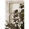 Picture of Farmhouse Arrangement I  _GroupedProduct_Rectangle_Portrait_Photography _GroupedProduct_Rectangle_Portrait_Unframed_Print_Only_