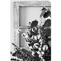 Picture of Farmhouse Arrangement I  _GroupedProduct_Rectangle_Portrait_Photography _GroupedProduct_Rectangle_Portrait_Unframed_Print_Only_