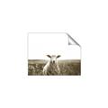 Picture of Field Sheep  _GroupedProduct_Rectangle_Landscape_Photography _GroupedProduct_Rectangle_Landscape_Unframed_Print_Only_