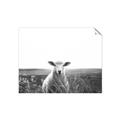 Picture of Field Sheep  _GroupedProduct_Rectangle_Landscape_Photography _GroupedProduct_Rectangle_Landscape_Unframed_Print_Only_