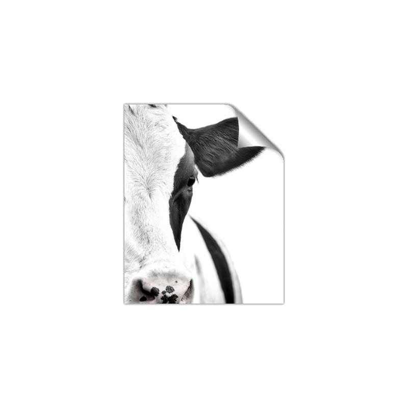 Picture of Side Cow _GroupedProduct_Rectangle_Portrait_Photography _GroupedProduct_Rectangle_Portrait_Unframed_Print_Only_