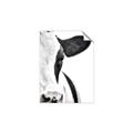 Picture of Side Cow _GroupedProduct_Rectangle_Portrait_Photography _GroupedProduct_Rectangle_Portrait_Unframed_Print_Only_