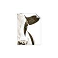 Picture of Side Cow _GroupedProduct_Rectangle_Portrait_Photography _GroupedProduct_Rectangle_Portrait_Unframed_Print_Only_