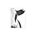Picture of Side Cow _GroupedProduct_Rectangle_Portrait_Photography _GroupedProduct_Rectangle_Portrait_Unframed_Print_Only_