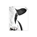 Picture of Side Cow _GroupedProduct_Rectangle_Portrait_Photography _GroupedProduct_Rectangle_Portrait_Unframed_Print_Only_
