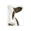 Picture of Side Cow _GroupedProduct_Rectangle_Portrait_Photography _GroupedProduct_Rectangle_Portrait_Unframed_Print_Only_