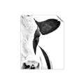 Picture of Side Cow _GroupedProduct_Rectangle_Portrait_Photography _GroupedProduct_Rectangle_Portrait_Unframed_Print_Only_