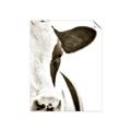 Picture of Side Cow _GroupedProduct_Rectangle_Portrait_Photography _GroupedProduct_Rectangle_Portrait_Unframed_Print_Only_