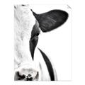 Picture of Side Cow _GroupedProduct_Rectangle_Portrait_Photography _GroupedProduct_Rectangle_Portrait_Unframed_Print_Only_
