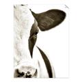 Picture of Side Cow _GroupedProduct_Rectangle_Portrait_Photography _GroupedProduct_Rectangle_Portrait_Unframed_Print_Only_