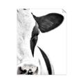 Picture of Side Cow _GroupedProduct_Rectangle_Portrait_Photography _GroupedProduct_Rectangle_Portrait_Unframed_Print_Only_