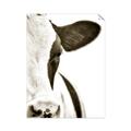 Picture of Side Cow _GroupedProduct_Rectangle_Portrait_Photography _GroupedProduct_Rectangle_Portrait_Unframed_Print_Only_