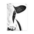 Picture of Side Cow _GroupedProduct_Rectangle_Portrait_Photography _GroupedProduct_Rectangle_Portrait_Unframed_Print_Only_