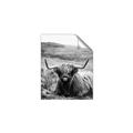 Picture of Furry Brown Cow _GroupedProduct_Rectangle_Portrait_Photography _GroupedProduct_Rectangle_Portrait_Unframed_Print_Only_