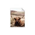 Picture of Furry Brown Cow _GroupedProduct_Rectangle_Portrait_Photography _GroupedProduct_Rectangle_Portrait_Unframed_Print_Only_