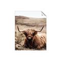 Picture of Furry Brown Cow _GroupedProduct_Rectangle_Portrait_Photography _GroupedProduct_Rectangle_Portrait_Unframed_Print_Only_