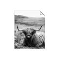 Picture of Furry Brown Cow _GroupedProduct_Rectangle_Portrait_Photography _GroupedProduct_Rectangle_Portrait_Unframed_Print_Only_