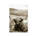 Picture of Furry Brown Cow _GroupedProduct_Rectangle_Portrait_Photography _GroupedProduct_Rectangle_Portrait_Unframed_Print_Only_