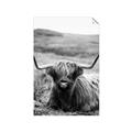 Picture of Furry Brown Cow _GroupedProduct_Rectangle_Portrait_Photography _GroupedProduct_Rectangle_Portrait_Unframed_Print_Only_