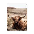 Picture of Furry Brown Cow _GroupedProduct_Rectangle_Portrait_Photography _GroupedProduct_Rectangle_Portrait_Unframed_Print_Only_