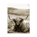 Picture of Furry Brown Cow _GroupedProduct_Rectangle_Portrait_Photography _GroupedProduct_Rectangle_Portrait_Unframed_Print_Only_
