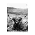 Picture of Furry Brown Cow _GroupedProduct_Rectangle_Portrait_Photography _GroupedProduct_Rectangle_Portrait_Unframed_Print_Only_