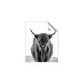 Picture of B&W Highland _GroupedProduct_Rectangle_Portrait_Photography _GroupedProduct_Rectangle_Portrait_Unframed_Print_Only_