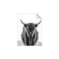 Picture of B&W Highland _GroupedProduct_Rectangle_Portrait_Photography _GroupedProduct_Rectangle_Portrait_Unframed_Print_Only_