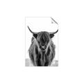 Picture of B&W Highland _GroupedProduct_Rectangle_Portrait_Photography _GroupedProduct_Rectangle_Portrait_Unframed_Print_Only_