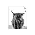 Picture of B&W Highland _GroupedProduct_Rectangle_Portrait_Photography _GroupedProduct_Rectangle_Portrait_Unframed_Print_Only_