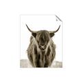 Picture of B&W Highland _GroupedProduct_Rectangle_Portrait_Photography _GroupedProduct_Rectangle_Portrait_Unframed_Print_Only_