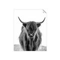 Picture of B&W Highland _GroupedProduct_Rectangle_Portrait_Photography _GroupedProduct_Rectangle_Portrait_Unframed_Print_Only_