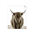 Picture of B&W Highland _GroupedProduct_Rectangle_Portrait_Photography _GroupedProduct_Rectangle_Portrait_Unframed_Print_Only_