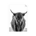 Picture of B&W Highland _GroupedProduct_Rectangle_Portrait_Photography _GroupedProduct_Rectangle_Portrait_Unframed_Print_Only_