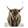 Picture of B&W Highland _GroupedProduct_Rectangle_Portrait_Photography _GroupedProduct_Rectangle_Portrait_Unframed_Print_Only_
