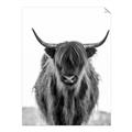 Picture of B&W Highland _GroupedProduct_Rectangle_Portrait_Photography _GroupedProduct_Rectangle_Portrait_Unframed_Print_Only_